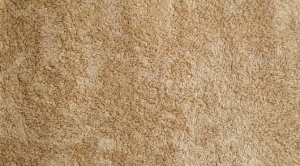 Terry knitted fabric